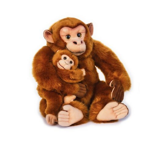 Scimpanzè  con baby