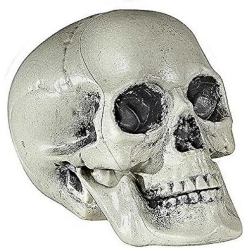 Teschio in plastica 21cm