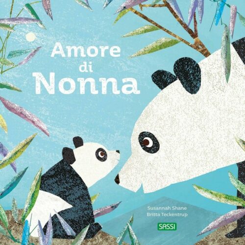 Amore di nonna   - libro