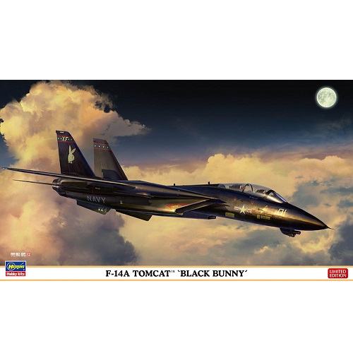 1/72 f-14a tomcat black bunny