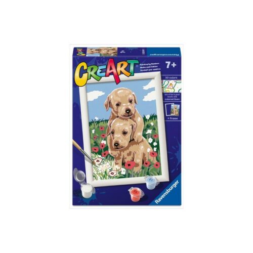 CreArt Serie E Classic - Golden Retriever Coccolosi
