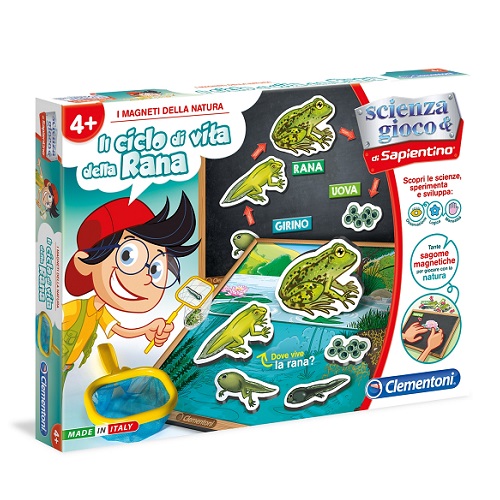 I magneti della Natura - il ciclo di vita della Rana
