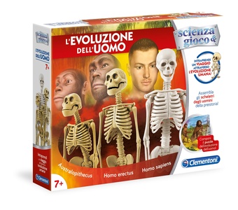 L'evoluzione dell'uomo