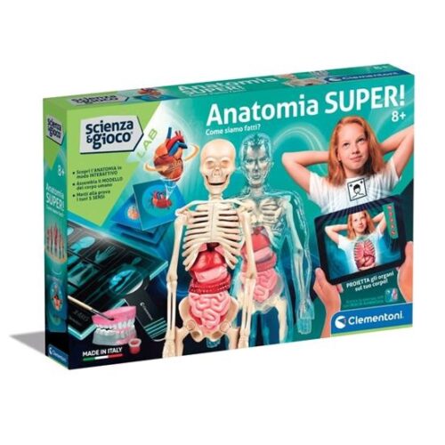 Anatomia Super