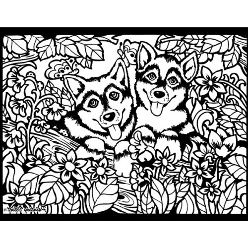 Colorvelvet Disegno A4 ass.