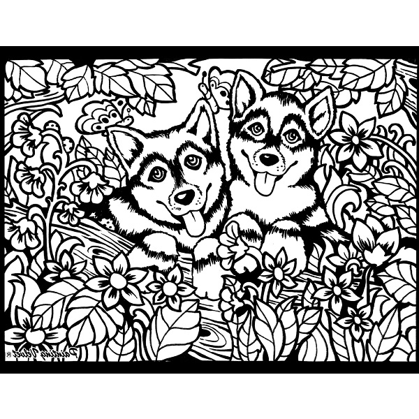 Colorvelvet Disegno A4 ass.