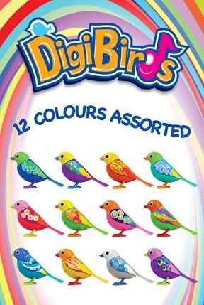 DigiBIRDS Uccellini " Canto da solo o in coro " colori ass.