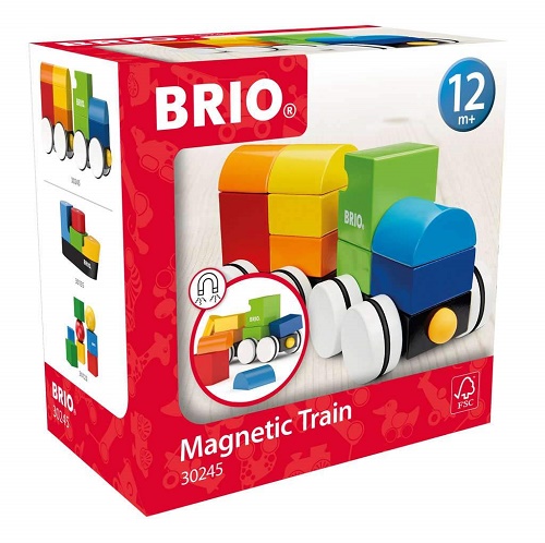 Magnetic Train