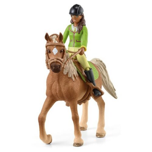 Horse club Sarah e Mystery