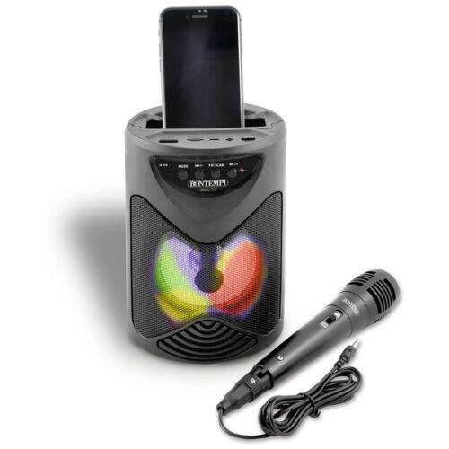 Cassa amplificatore con microfono Wireless