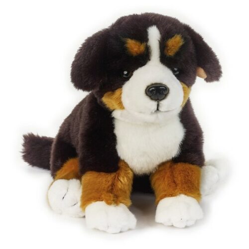 Buddy Cane Bernese peluche 30cm