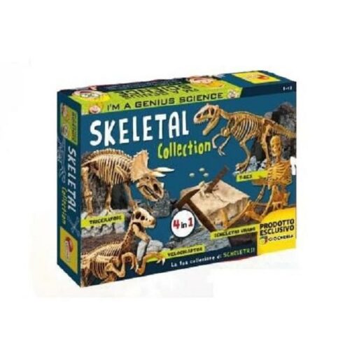 I'M a Genius Skeletal collection: 4 in 1