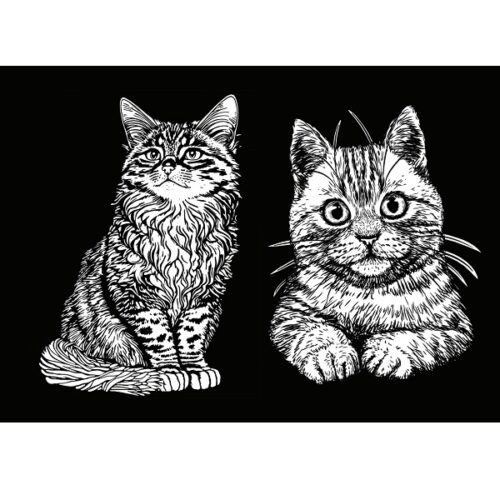 Colorvelvet Notebook A5 80 pagine Gatto