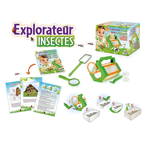 Kit Esplora Insetti