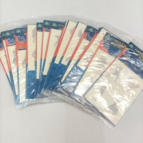 I Cavalieri dello Zodiaco - Tatuaggi e adesivi