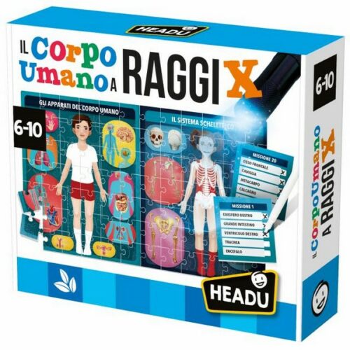 Il Corpo Umano a Raggi X