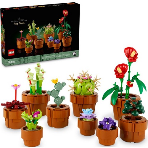 10329 Icons Piantine grasse