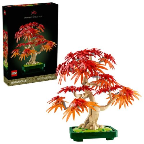 10348 Botanicals: Bonsai di acero rosso giapponese