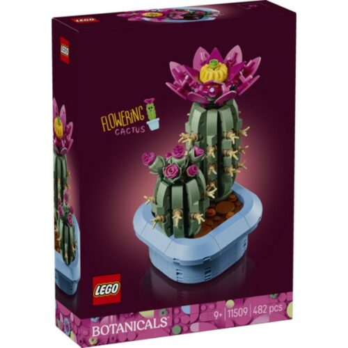 11509 Botanicals: Cactus in fiore