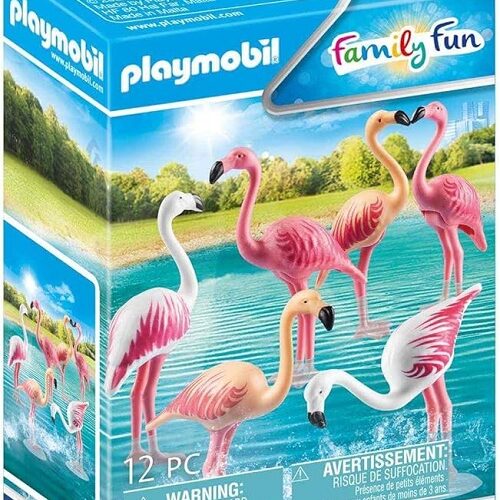 70351 Family fun FENICOTTERI