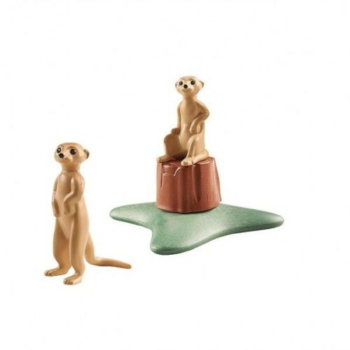 71069 WILTOPIA - SURICATI