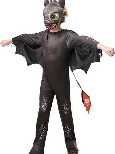 Costume Dragons  Furia Nera 3-4 anni