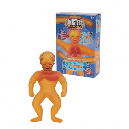 Mr Muscolo Stretch X ray