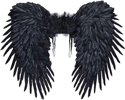 Ali Piumate Nere 80x60