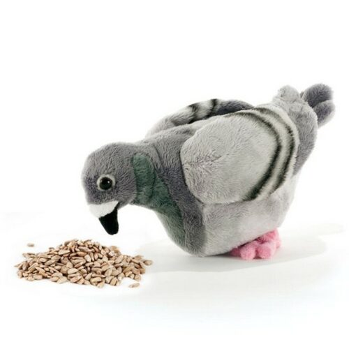 Piccione Peluche