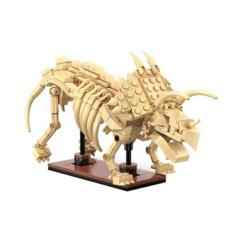 Dinosauro fossile di Triceratopo - 272 pz