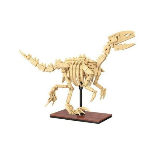 Dinosauro fossile di Velociraptor - 256 pz