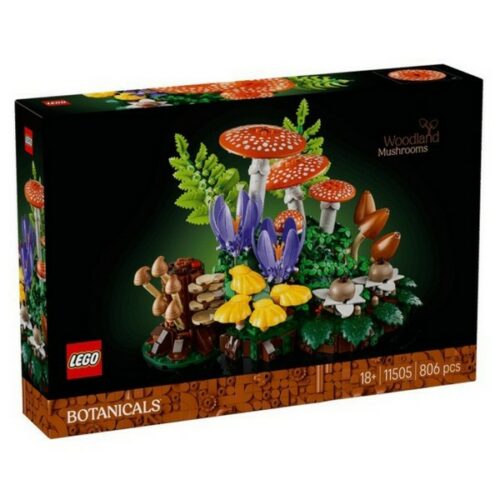 11505 Botanicals Funghi del bosco