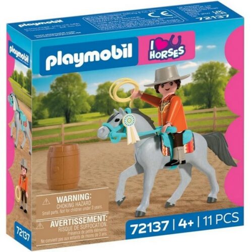 72137 Horses: Western Riding